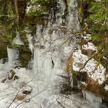 וילה Zgarda1 מיקוליצ'ין