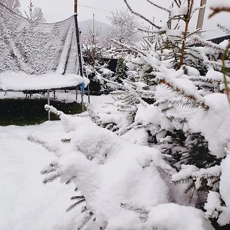 Zgarda1 * Микуличин