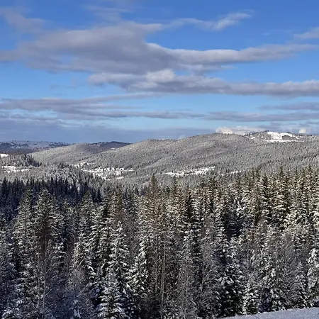 Zgarda1 * Микуличин